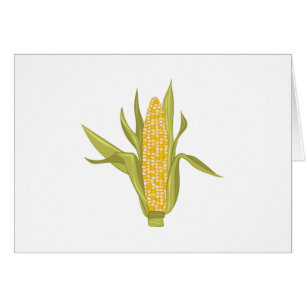 Corn Ear
