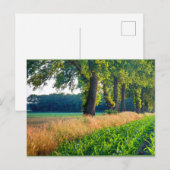 Corn Field Border Briefkaart (Voorkant / Achterkant)