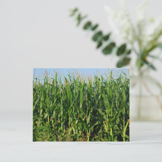Corn Field Briefkaart (Staand voorkant)