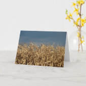 Corn Field Kaart (Gele Bloem)