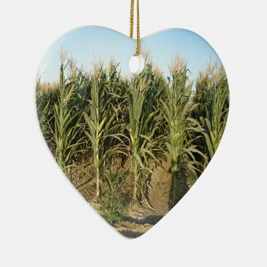 Corn Field Keramisch Ornament (Rechts)