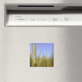 Corn Field Magnet (Insitu (Vaatwasser))
