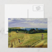 Corn Field op het eiland Wight Briefkaart (Voorkant / Achterkant)