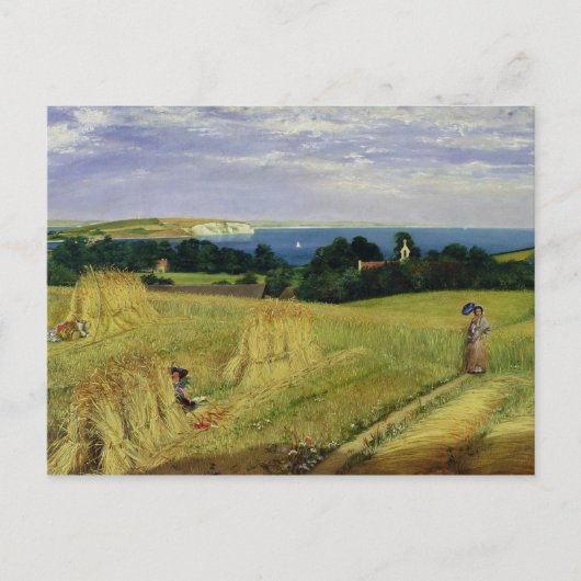 Corn Field op het eiland Wight Briefkaart (Voorkant)