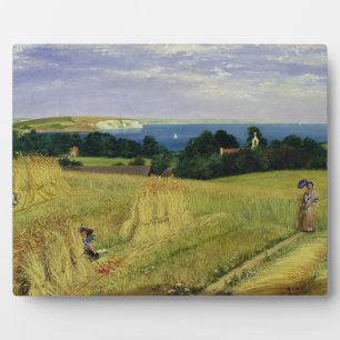 Corn Field op het eiland Wight Fotoplaat