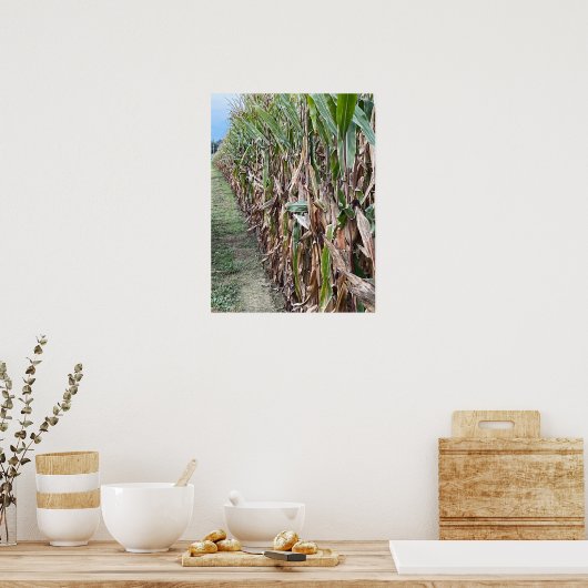 Corn Field Photo Poster (Keuken)