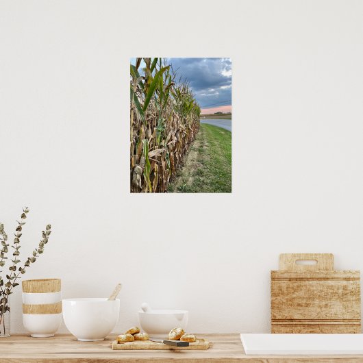 Corn Field Photo Poster (Keuken)