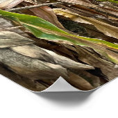 Corn Field Photo Poster (Hoek)