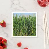 Corn Field Servet (Insitu)