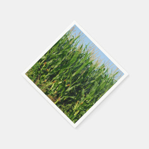 Corn Field Servet