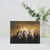 Corn field Silhouettes Briefkaart (Staand voorkant)