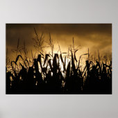 Corn field Silhouettes Poster (Voorkant)