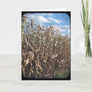 Corn Field TTV Kaart