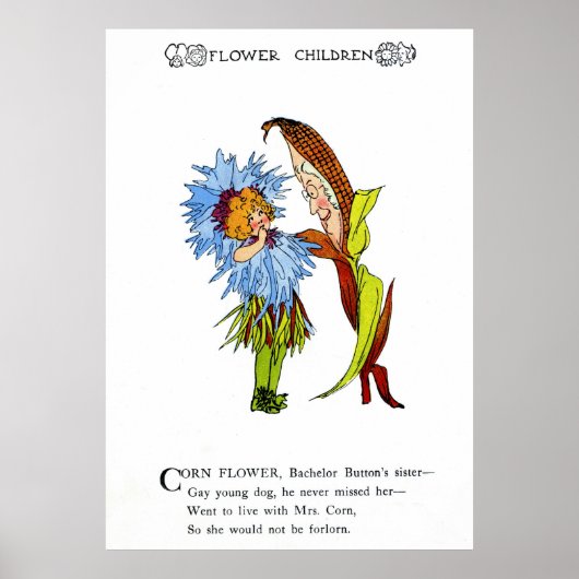 Corn Flower Poster (Voorkant)