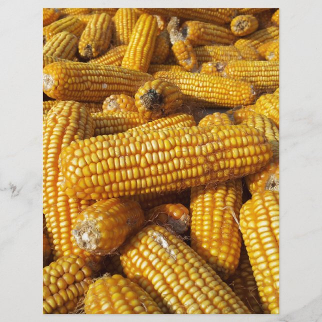 Corn Harvest (Voorkant)