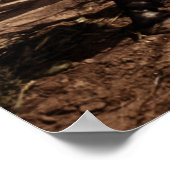 Corn Harvest: 1940 Poster (Hoek)