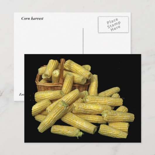 Corn Harvest Briefkaart (Voorkant / Achterkant)