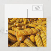 Corn Harvest Briefkaart (Voorkant / Achterkant)