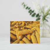 Corn Harvest Briefkaart (Staand voorkant)