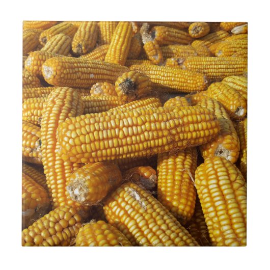 Corn Harvest Tegeltje (Voorkant)