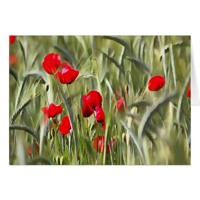 Corn Poppies (Voorkant Horizontaal)