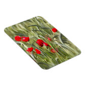 Corn Poppies Magneet (Rechterzijde)