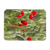 Corn Poppies Magneet (Horizontaal)