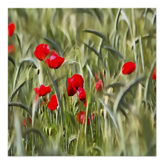 Corn Poppies Poster (Voorkant)