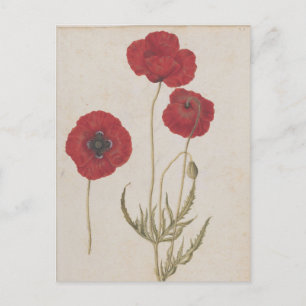 Corn Poppies van Jacques de Morgues Briefkaart