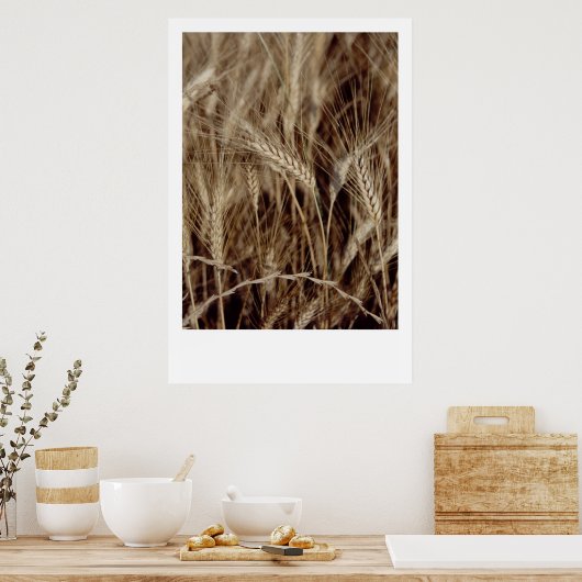 Corn Poster (Keuken)