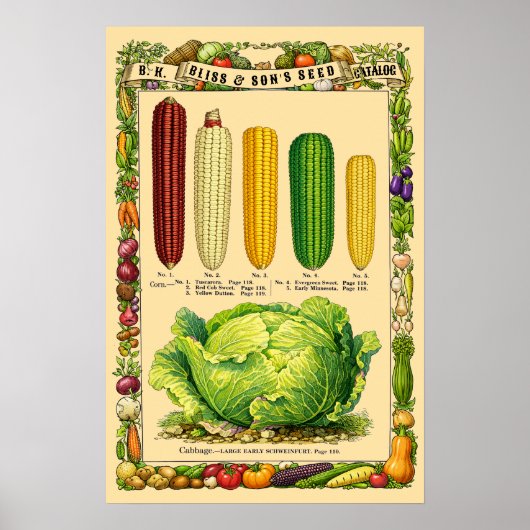 Corn Retro Victorian Era Botanical Art Poster (Voorkant)