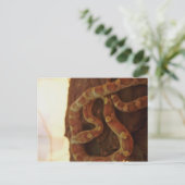 Corn Snake Briefkaart (Staand voorkant)