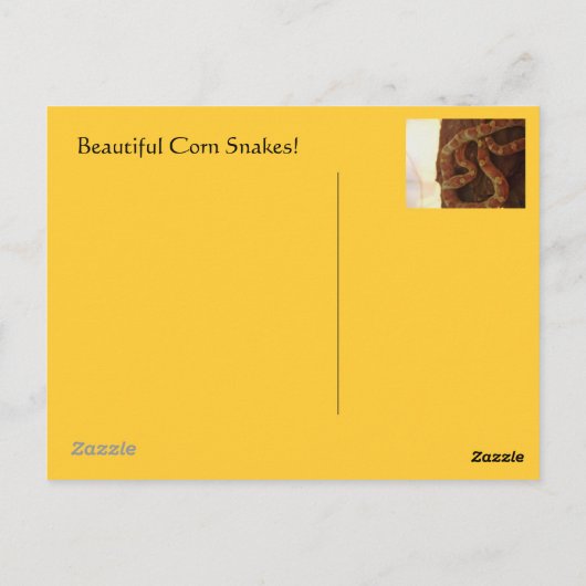 Corn Snake Briefkaart (Achterkant)