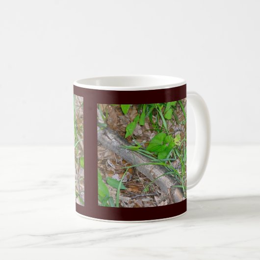 Corn Snake Mok (Voorkant rechts)