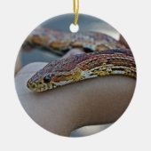 CORN SNAKE ORNAMENT (Voorkant)