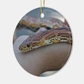 CORN SNAKE ORNAMENT (Links)
