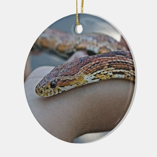 CORN SNAKE ORNAMENT (Links)