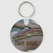 CORN SNAKE SLEUTELHANGER (Voorkant)
