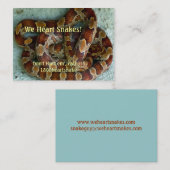 Corn Snake Visitekaartje (Voorkant / Achterkant)