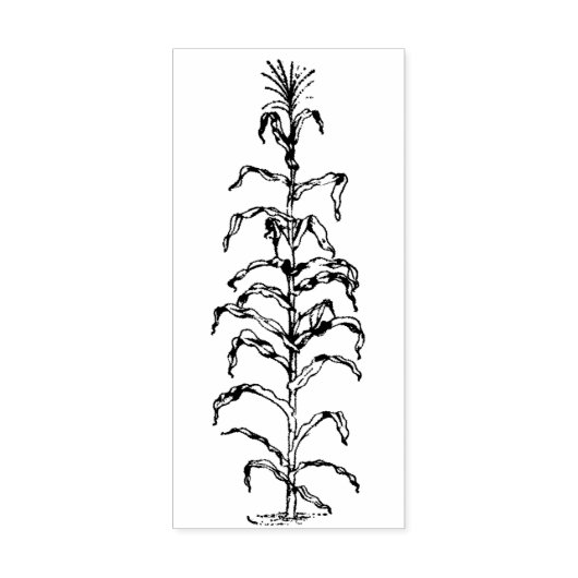 Corn Stalk Rubberstempel (Afrduk)