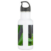 Corn Stalk Waterfles (Achterkant)