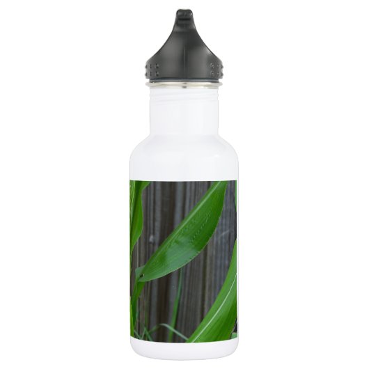 Corn Stalk Waterfles (Rechts)