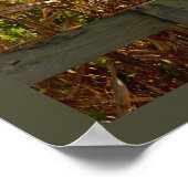 Corn Stalks opgedroogd Poster (Hoek)