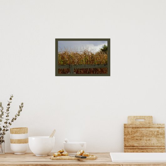 Corn Stalks opgedroogd Poster (Keuken)