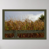 Corn Stalks opgedroogd Poster (Voorkant)
