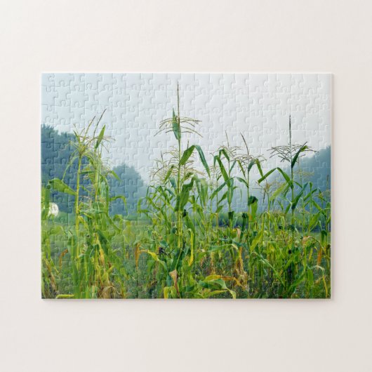 Corn Stalks Wisconsin. Legpuzzel (Horizontaal)