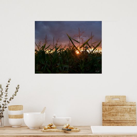 Corn Sunset - Afdrukken Poster (Keuken)