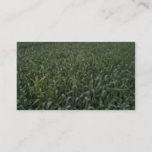 Corn-veld Visitekaartje (Achterkant)