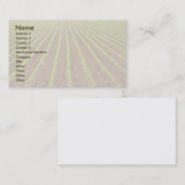 Corn-veld Visitekaartje (Voorkant / Achterkant)