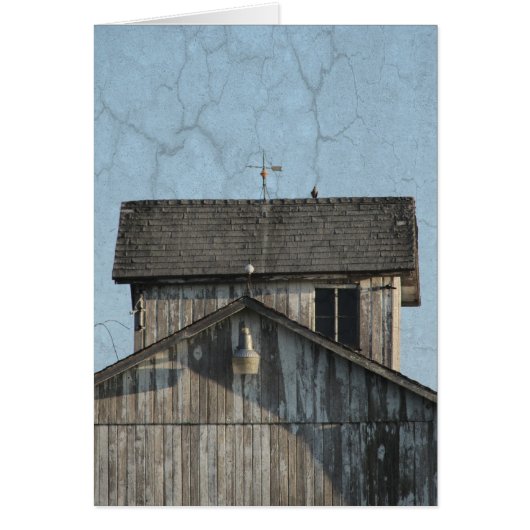 Corn Wieg (Voorkant)